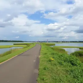 Roteiro de bicicleta na Lagoa da Pampulha: passo a passo para aproveitar BH