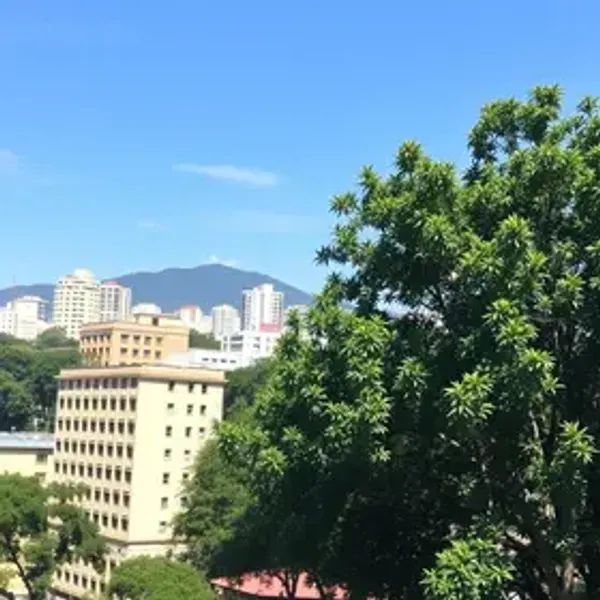 Onde comprar lembranças de Belo Horizonte: dicas essenciais para aproveitar melhor