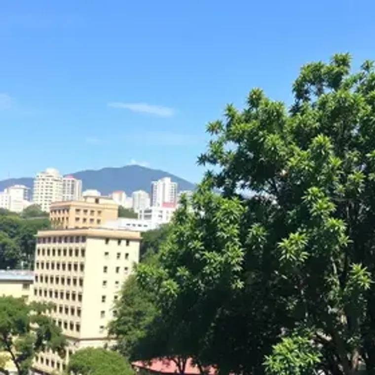 Onde comprar lembranças de Belo Horizonte: dicas essenciais para aproveitar melhor