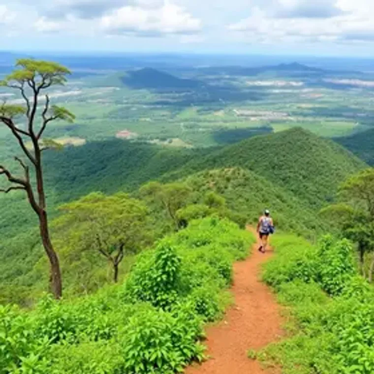 Roteiro em BH para quem gosta de natureza: passo a passo para aproveitar BH