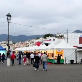 Feira do Mineirinho horários: guia prático para planejar a visita