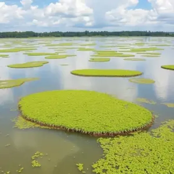 Lagoa da Pampulha horários: o que saber antes de ir