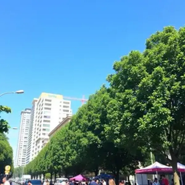 Melhores feiras de Belo Horizonte: seleção para montar seu roteiro